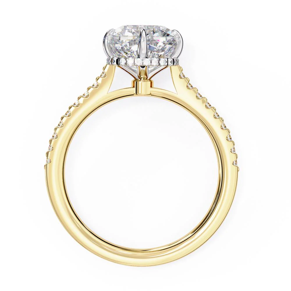 Cushion Cathedral Hidden Halo Engagement Ring - Image 6