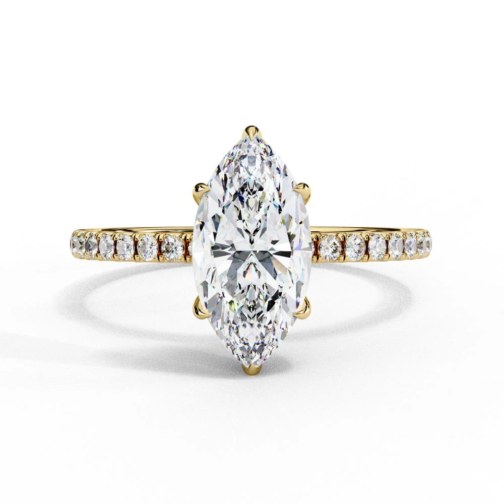 Selena Gomez Engagement Ring